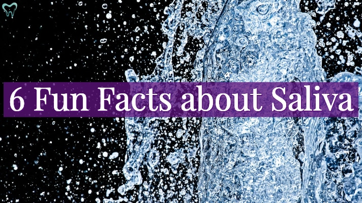 6 Mouthwatering Facts about Saliva